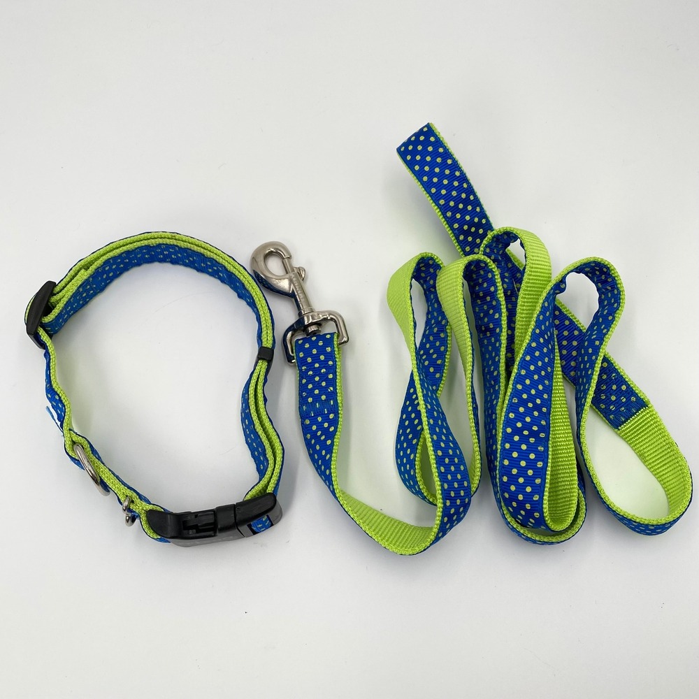Frisco Dog Collar and Leash Set Blue Green Polka Dot Adjustable Pet Walking